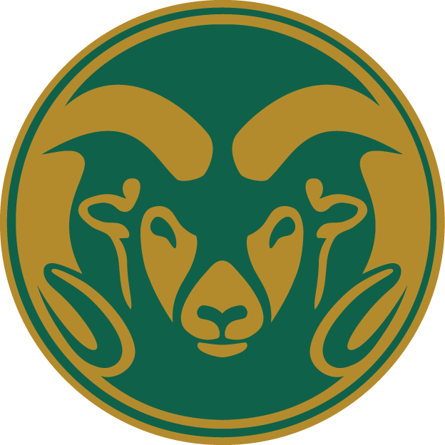 Colorado State Rams 1993-2014 Alternate Logo DIY iron on transfer (heat transfer)